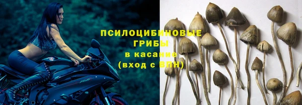 винт Богородицк
