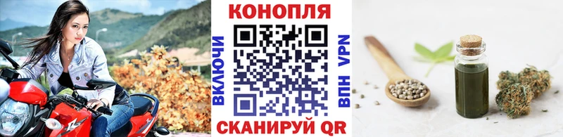 Бошки марихуана планчик Чернушка